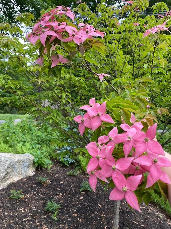 Reliable landscape installation experts serving Concord, MA - GRAZE Lawn & Garden