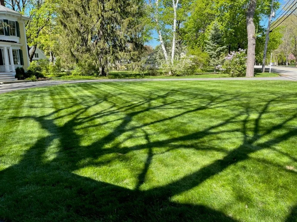 Custom lawn mowing service for residential properties in Concord, MA by GRAZE Lawn & Garden
