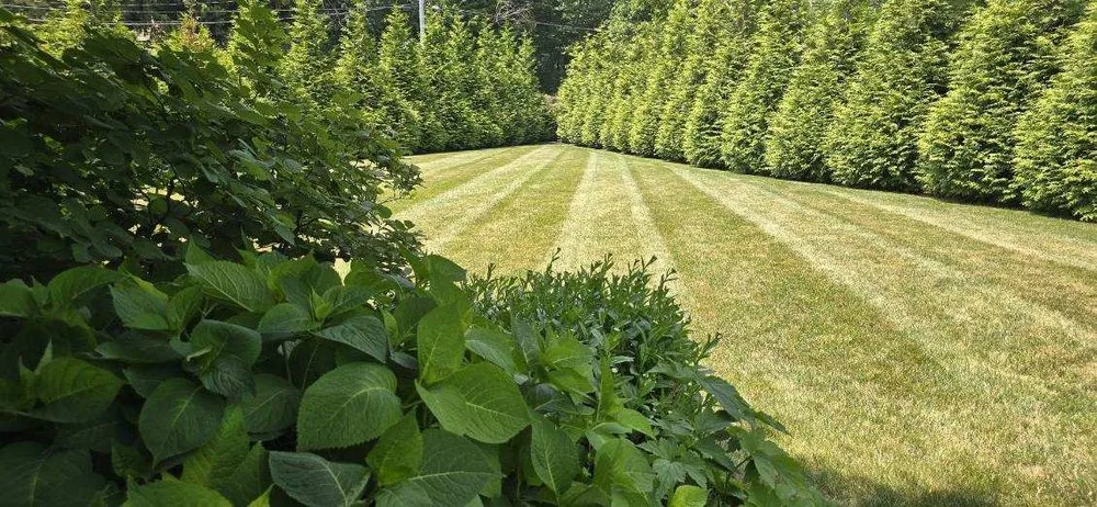 Top-rated residential landscaping experts serving Concord, MA - GRAZE Lawn & Garden