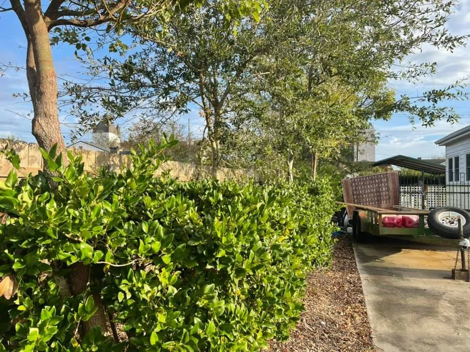 Affordable landscape installation for homes in Houma, LA by Grazing Cajun Lawn Care