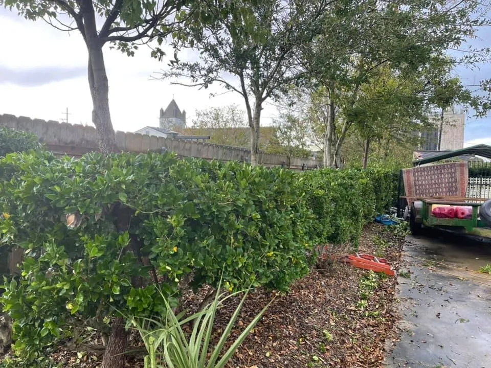 Expert residential landscaping in Houma, LA - Grazing Cajun Lawn Care