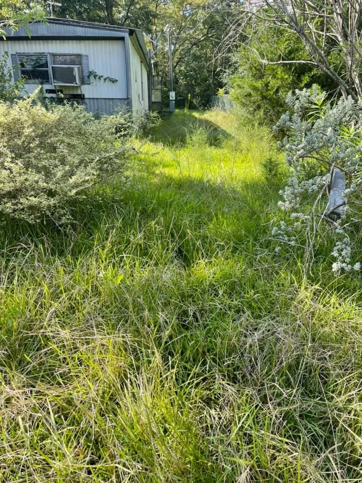 Top-rated outdoor landscaping for homes in Houma, LA by Grazing Cajun Lawn Care