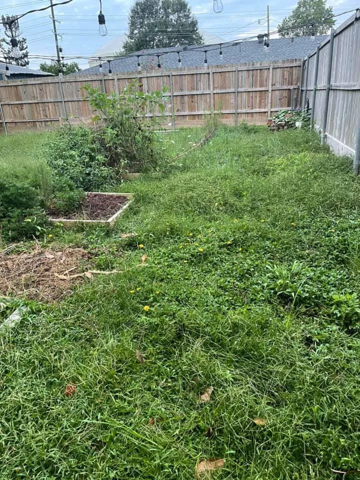 Local lawn mowing service for residential properties in Houma, LA by Grazing Cajun Lawn Care