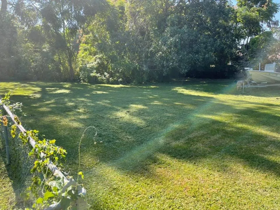 Custom yard cleanup service for beautiful yards across Houma, LA - Grazing Cajun Lawn Care