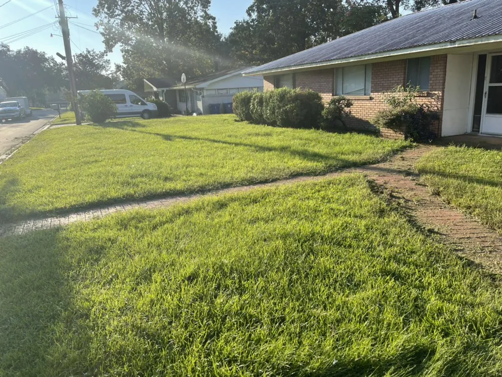 Custom landscape design for beautiful yards across Houma, LA - Grazing Cajun Lawn Care