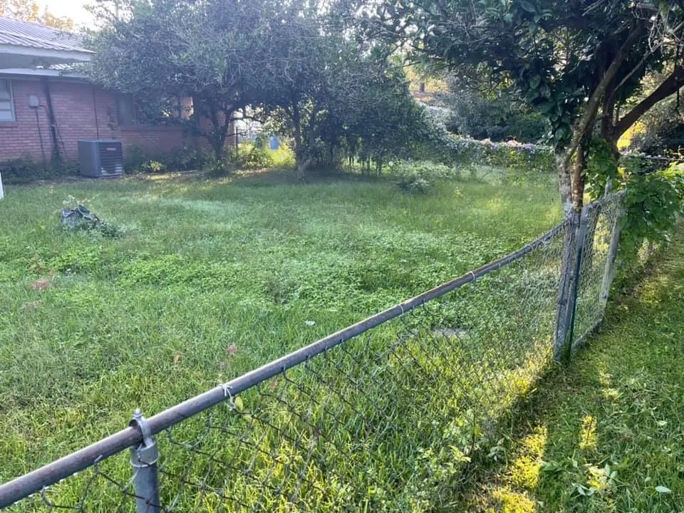 Top-rated landscape design experts serving Houma, LA - Grazing Cajun Lawn Care