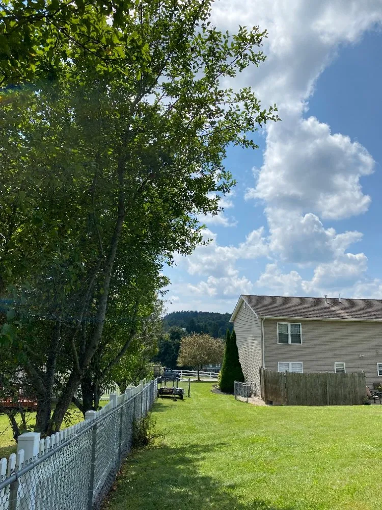 Professional landscape design experts serving Shady Spring, WV - Grazing Goats Lawncare