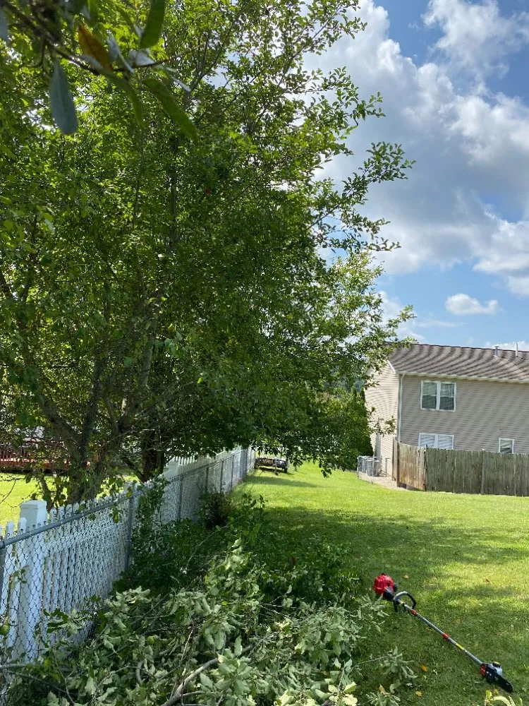 Reliable lawn care service for outdoor upgrades across Shady Spring, WV - Grazing Goats Lawncare