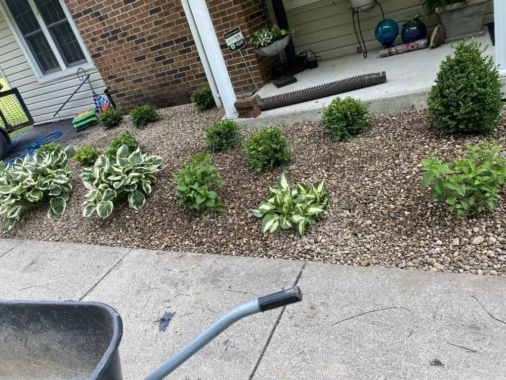 Professional yard maintenance in Shady Spring, WV - Grazing Goats Lawncare