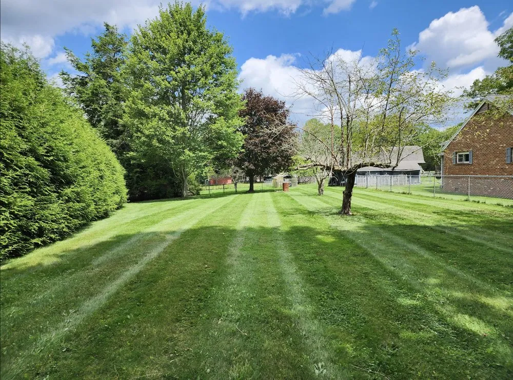 Custom yard maintenance in Shady Spring, WV by Grazing Goats Lawncare