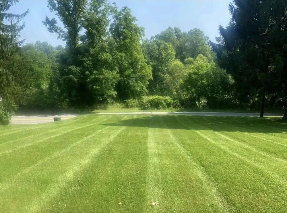 Affordable garden landscaping in Shady Spring, WV by Grazing Goats Lawncare