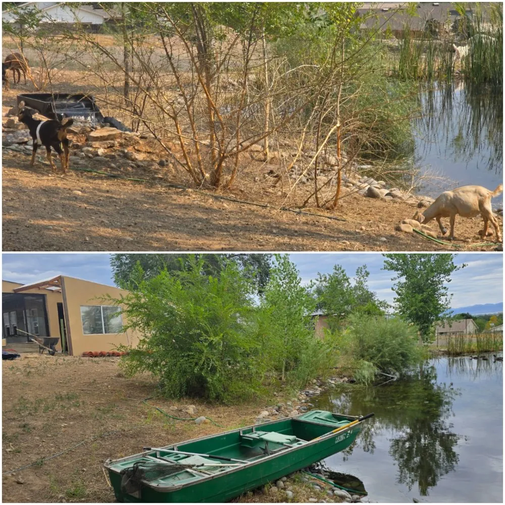 Trusted residential landscaping experts serving Loma, CO - Grazing Guardians