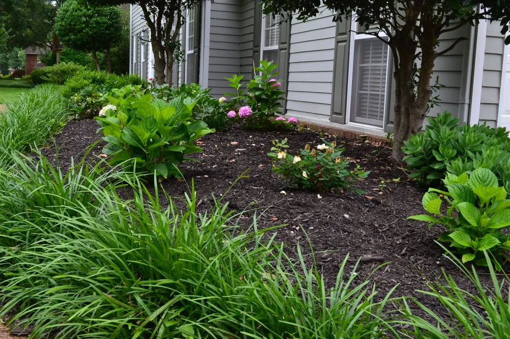 Trusted lawn care service in Memphis, TN - Grazz Masters