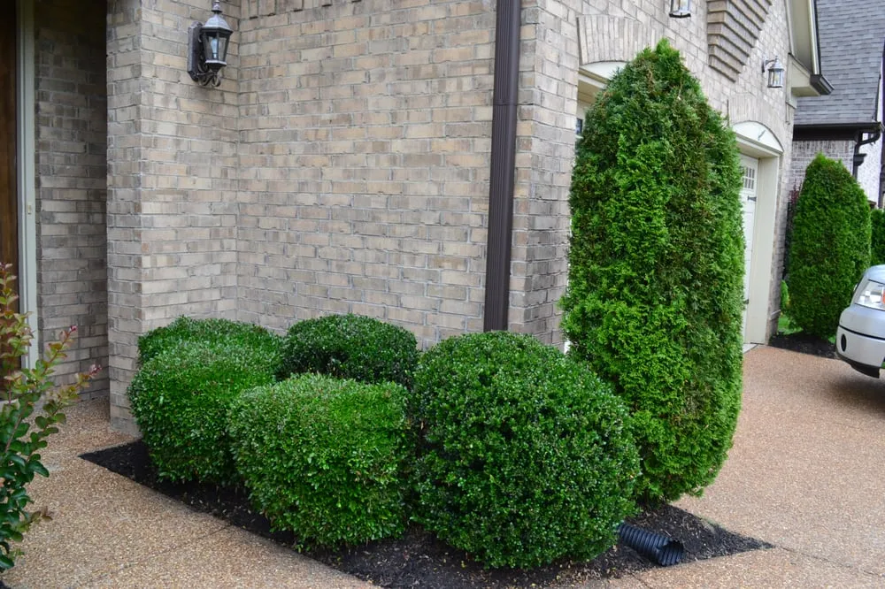 Reliable outdoor landscaping for year-round maintenance in Memphis, TN by Grazz Masters
