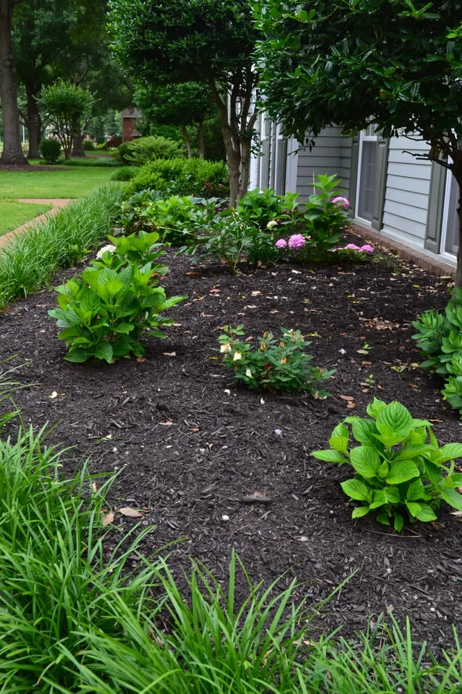 Custom landscaping services for beautiful yards across Memphis, TN - Grazz Masters
