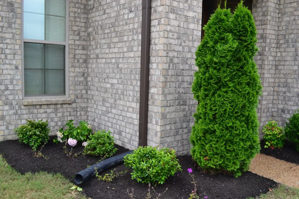 Reliable landscape installation for residential properties across Memphis, TN - Grazz Masters