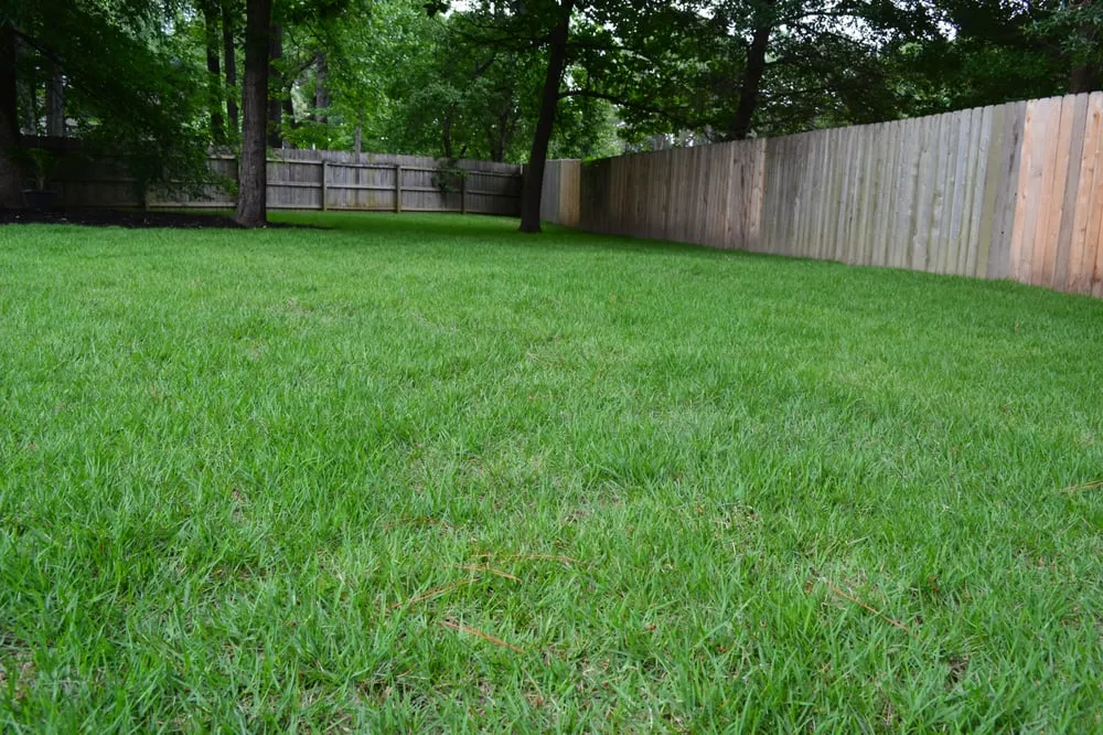 Professional lawn care service in Memphis, TN by Grazz Masters