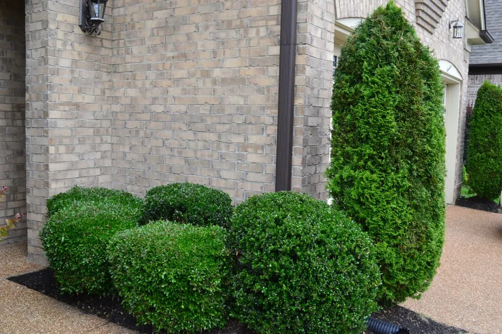 Local landscape installation for beautiful yards across Memphis, TN - Grazz Masters