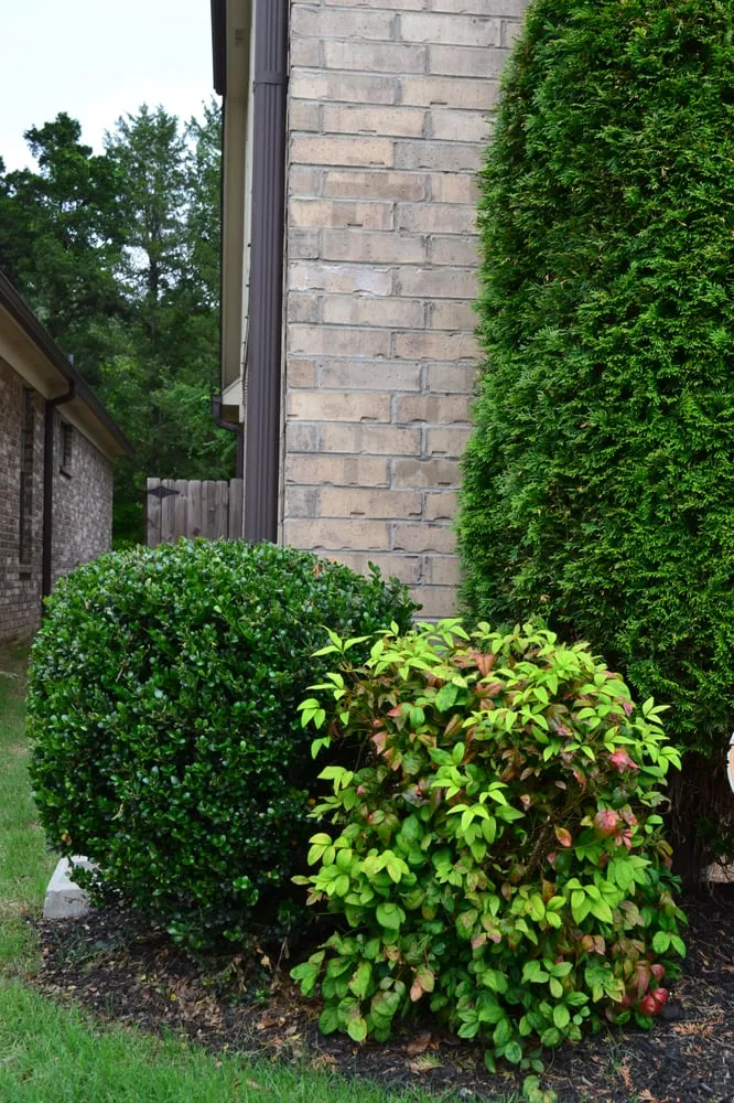 Custom lawn mowing service in Memphis, TN - Grazz Masters