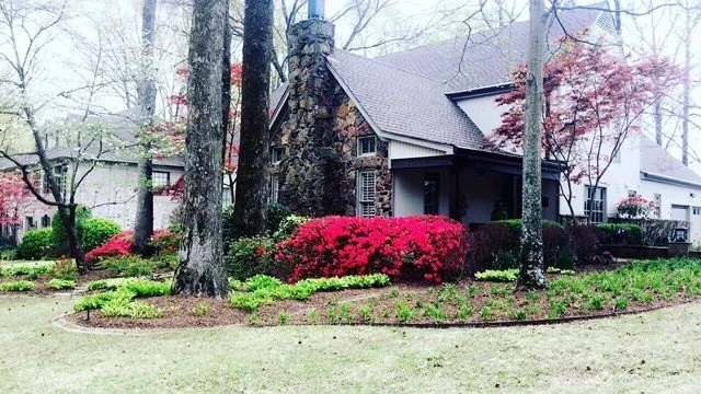 Professional yard maintenance experts serving Memphis, TN - Grazz Masters