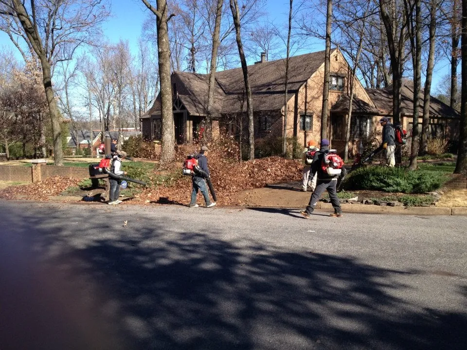 Local landscaping services experts serving Memphis, TN - Grazz Masters