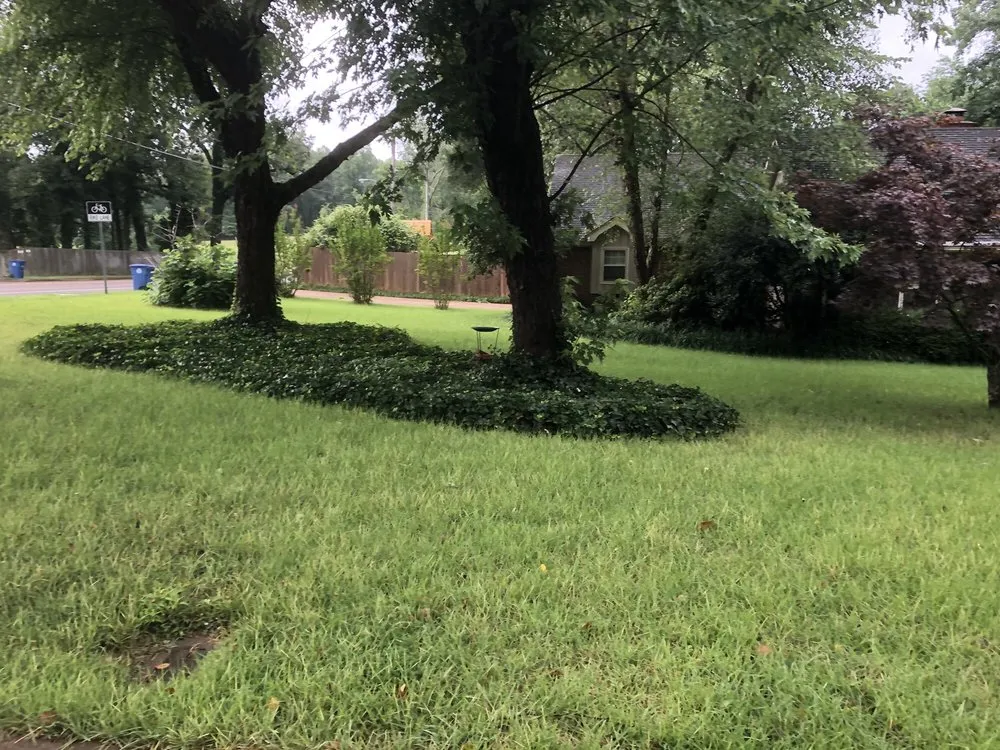 Local landscaping services in Memphis, TN - Grazz Masters