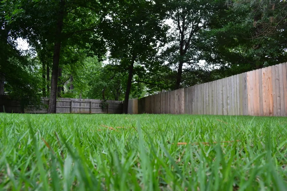 Local landscaping services in Memphis, TN - Grazz Masters