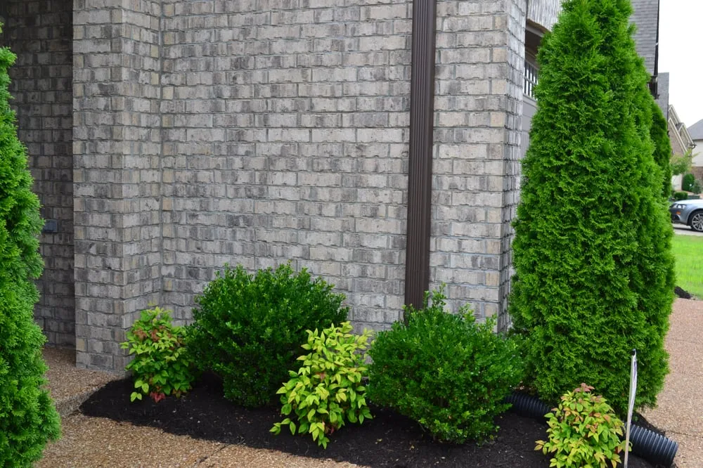 Affordable landscaping services with custom design in Memphis, TN by Grazz Masters