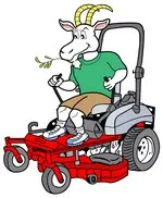 Custom outdoor landscaping experts serving Erwin, TN - Grazzin lawns