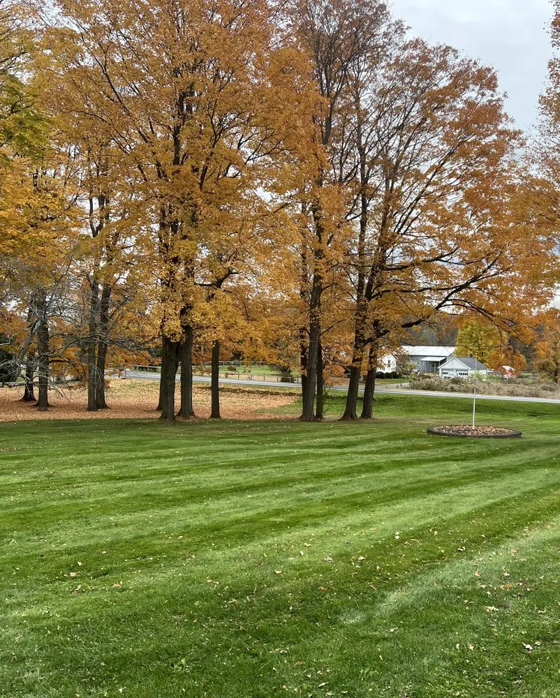 Expert landscaping services in Newark, NY - GRC Lawn Care Service