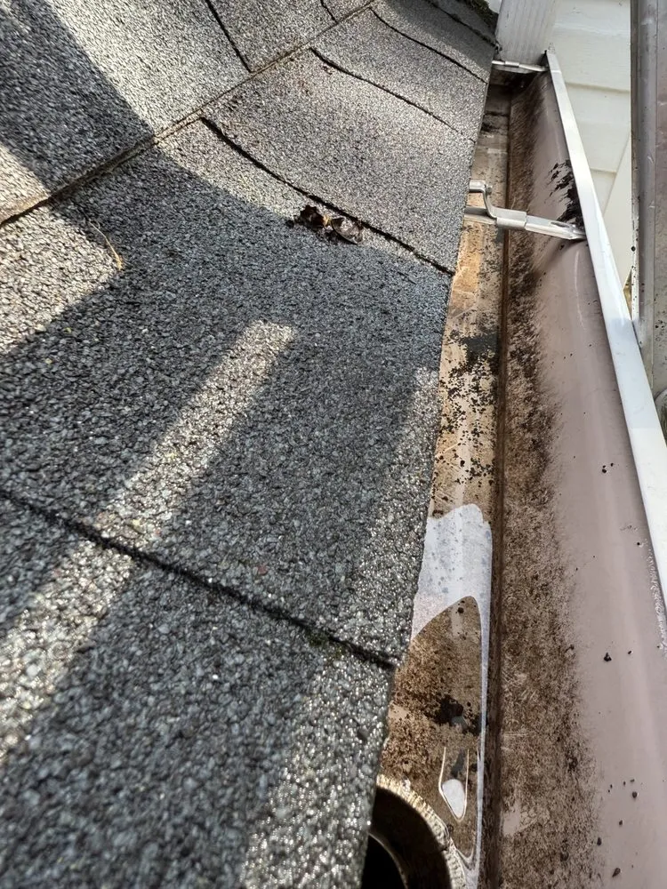 Professional yard maintenance in Port Deposit, MD by GRD Services