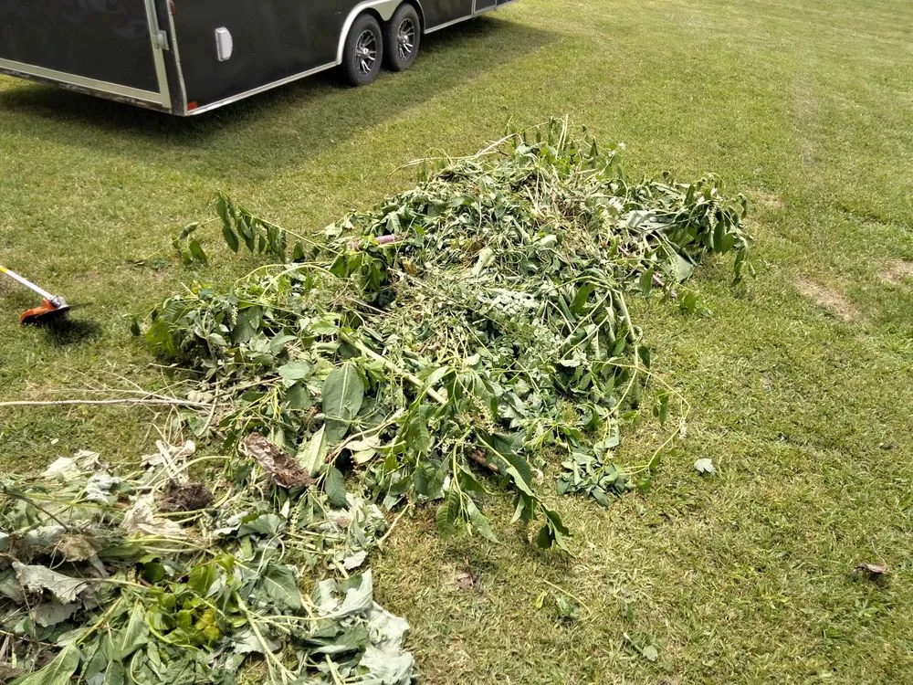 Custom yard cleanup service for beautiful yards in Bluff City, TN by Gre8t Dealz Slack