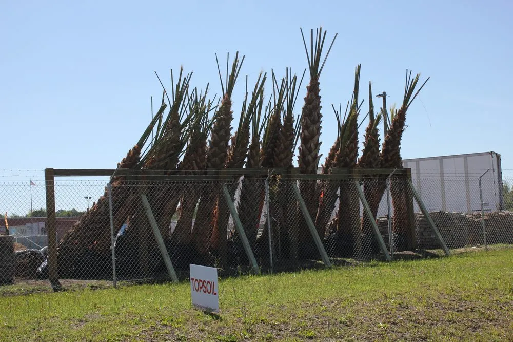 Top-rated lawn mowing service near you across Wilmington, NC - Great America Outdoor Depot