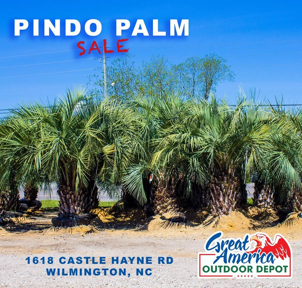 Affordable yard cleanup service in Wilmington, NC by Great America Outdoor Depot