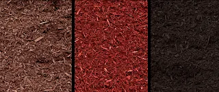 Top-rated landscape installation experts serving Wilmington, NC - Great America Outdoor Depot