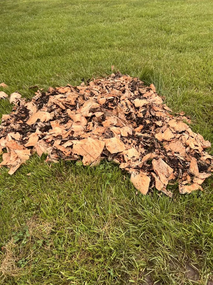 Trusted yard maintenance for homes across Friendsville, TN - Great American Lawn Care