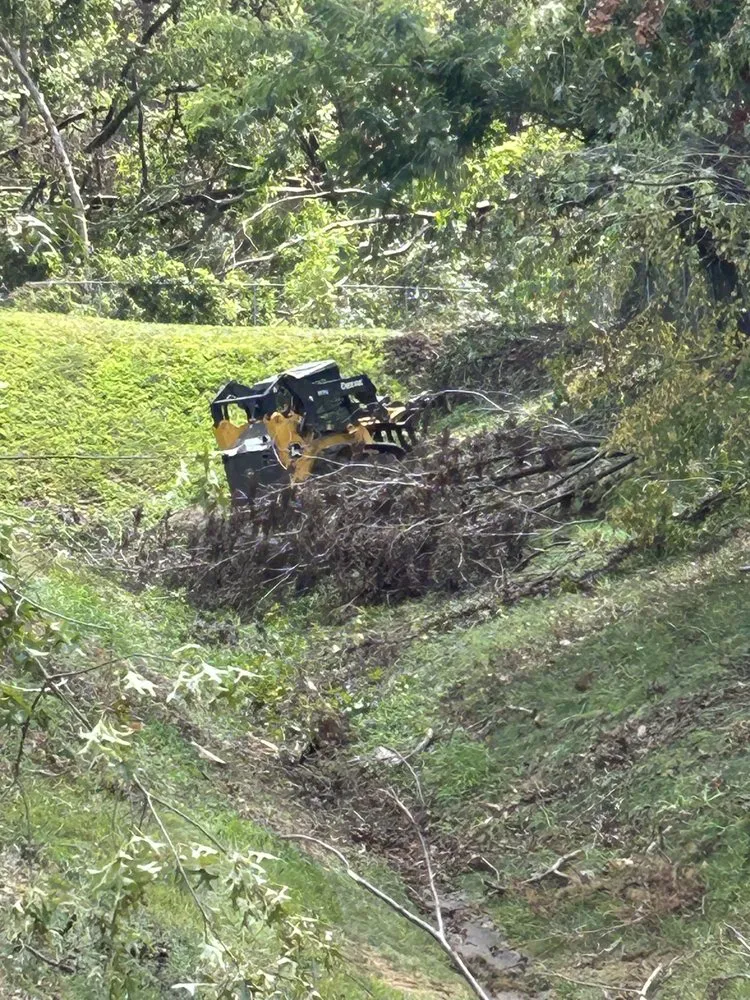 Custom yard cleanup service experts serving Friendsville, TN - Great American Lawn Care