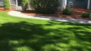 Expert yard cleanup service experts serving Soldotna, AK - Great Bear Hydroseeding