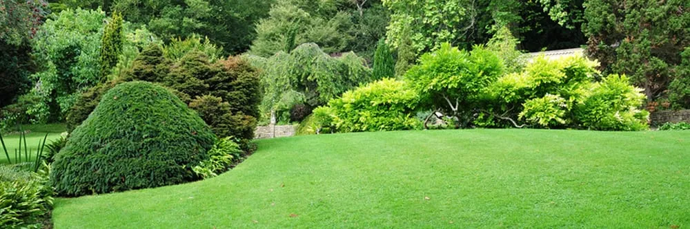 Affordable lawn mowing service with custom design in Worcester, MA by Great Care Lawn Service