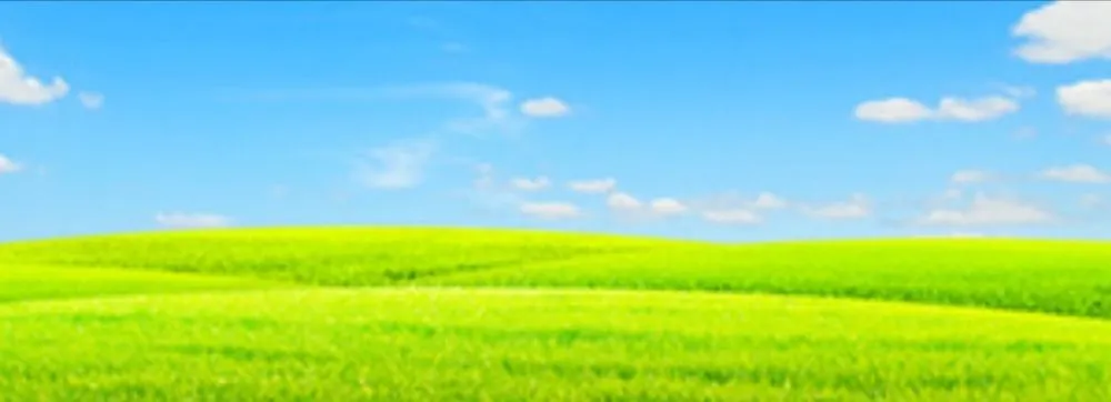 Top-rated residential landscaping for outdoor upgrades across Webb City, MO - Great Choice