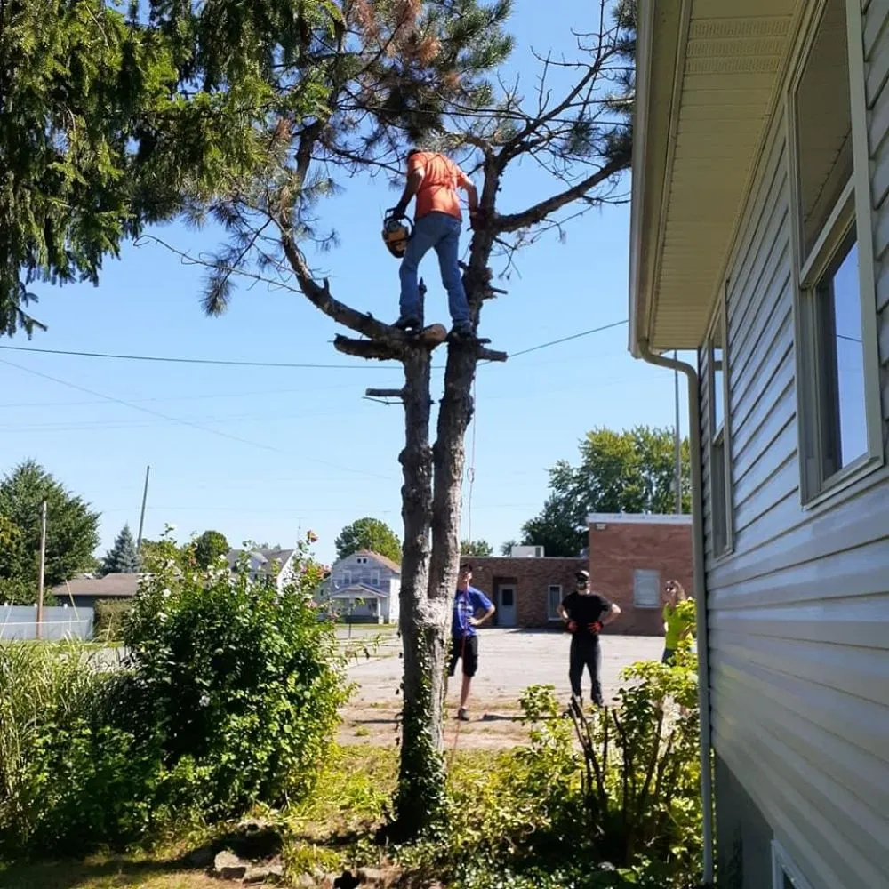 Expert landscape design in Marion, OH - Great Clips Lawncare Services