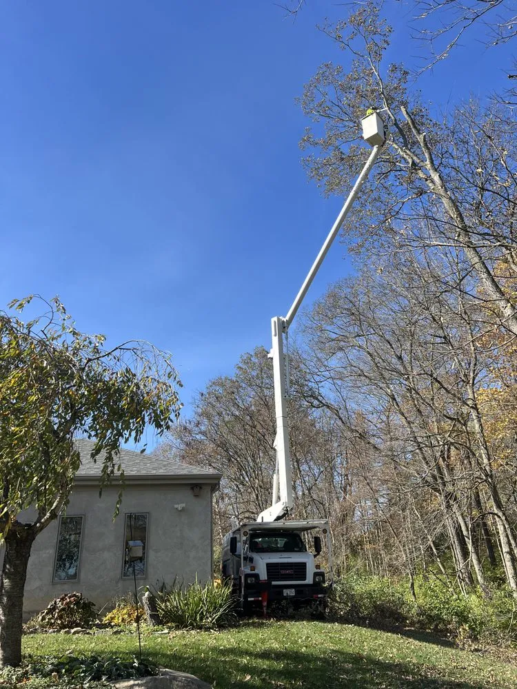 Custom landscaping services experts serving Delaware, OH - Great Dane Tree Experts & Landscaping