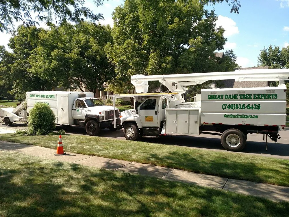 Expert yard maintenance for year-round maintenance across Delaware, OH - Great Dane Tree Experts & Landscaping