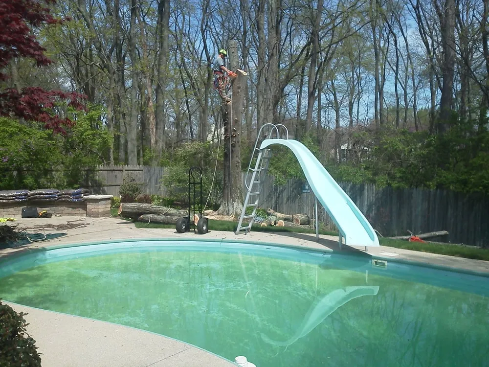 Top-rated landscaping services with custom design across Delaware, OH - Great Dane Tree Experts & Landscaping