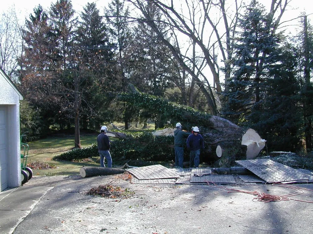 Top-rated residential landscaping in Delaware, OH - Great Dane Tree Experts & Landscaping