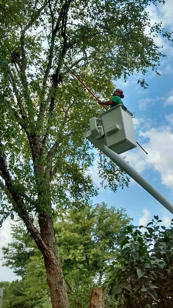 Reliable yard maintenance experts serving Delaware, OH - Great Dane Tree Experts & Landscaping