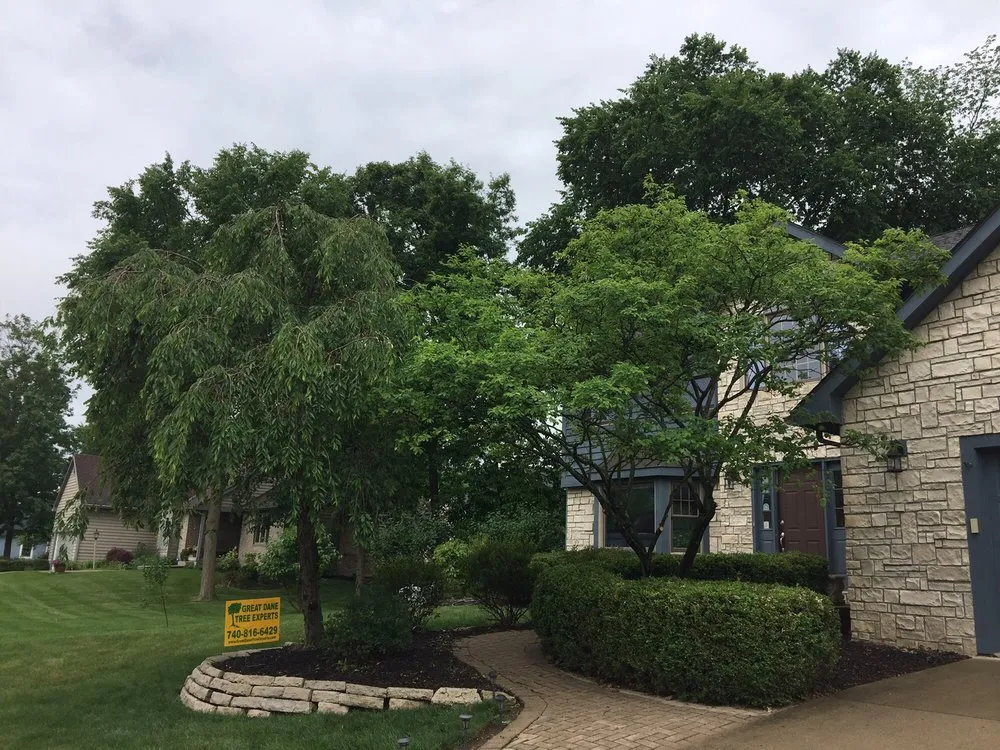 Expert landscape design for year-round maintenance in Delaware, OH by Great Dane Tree Experts & Landscaping