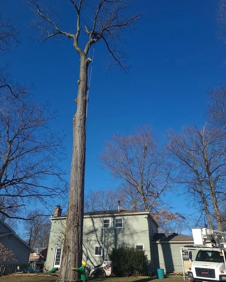 Trusted garden landscaping for beautiful yards in Delaware, OH by Great Dane Tree Experts & Landscaping