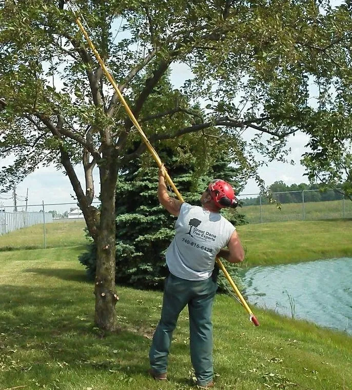 Expert garden landscaping experts serving Delaware, OH - Great Dane Tree Experts & Landscaping
