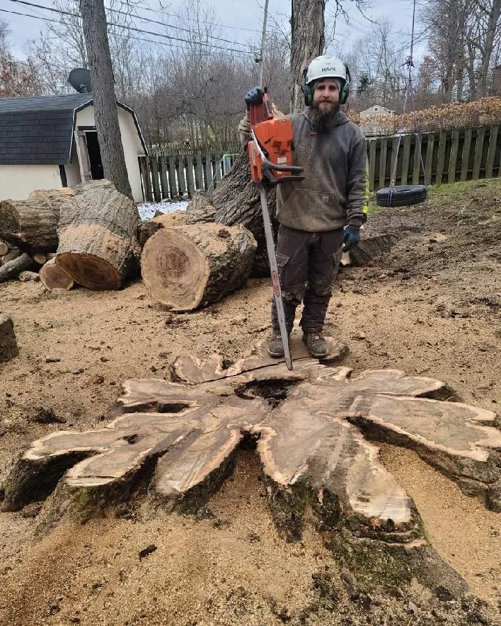 Reliable yard cleanup service in Delaware, OH - Great Dane Tree Experts & Landscaping